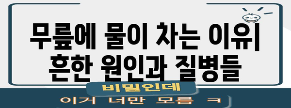 무릎에 물 차는 원인과 치료 | 증상과 치료법 탐구