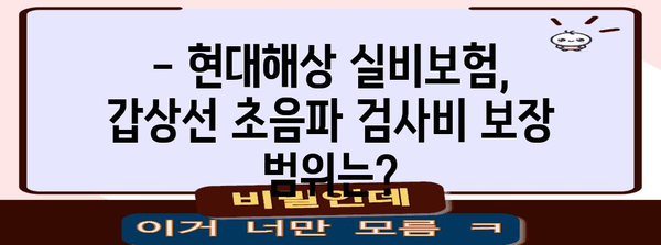 현대해상 실비보험 활용 | 갑상선 결절 초음파 검사비 청구