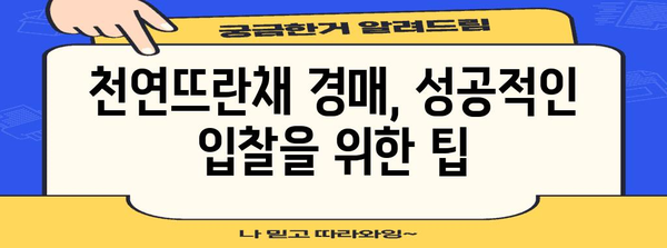 서대문구 천연뜨란채 아파트 경매 안내 | 정보, 현황, 입찰 팁