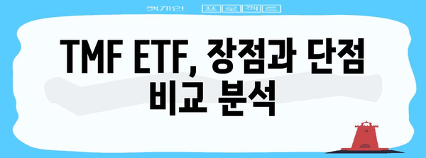 TMF ETF 상승 비밀 | 금리 하락과 투자 전략