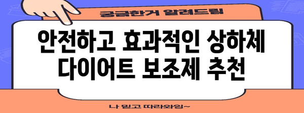 단기 상하체 다이어트 보조제 추천 + 가이드