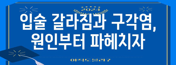 입술 갈라짐과 구각염 완벽 해결 | 원인과 치료법