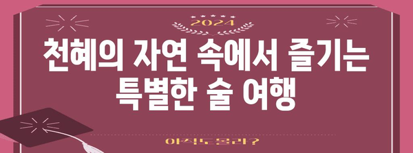 진도 홍주 술기행 | 천국의 매력에 빠지다