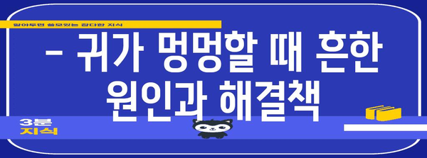 귀 부음 증상과 완화법 | 쉽게 해결하는 방법