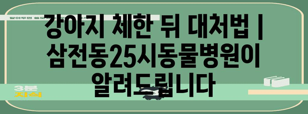 강아지 체한 뒤 대처법 | 삼전동25시동물병원이 알려드립니다