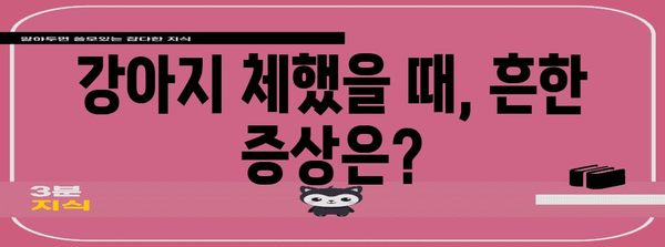 강아지 체한 뒤 대처법 | 삼전동25시동물병원이 알려드립니다