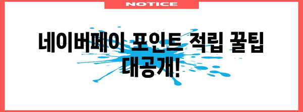 네이버페이 체크카드 꿀활용 가이드 | 신한, 우리, 케이뱅크