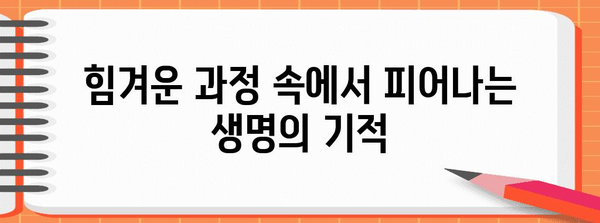 간호사의 시험관 이야기 | 추억과 교훈