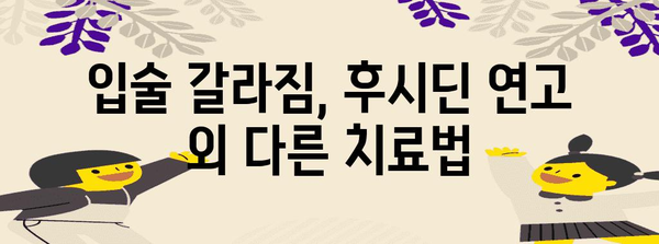 입술 갈라짐의 아픔을 달래는 후시딘 연고 활용법