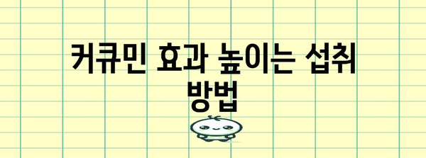 관절 통증 관리 가이드 | 커큐민 선택 및 효과적인 섭취 방법