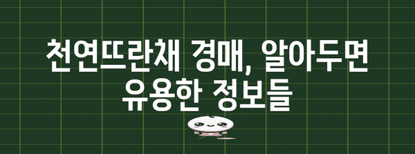 서대문구 천연뜨란채 아파트 경매 안내 | 정보, 현황, 입찰 팁