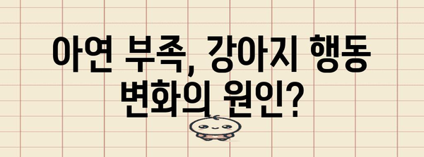 강아지 행동 문제 개선에 아연의 효과