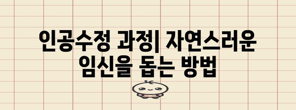 인공수정과 시험관 아기 | 차이점과 과정 안내서