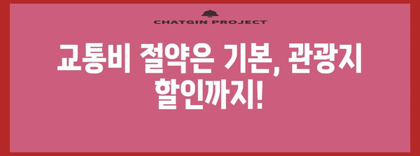 간사이 스루 패스 & 오사카 주유 패스 완벽 활용 가이드 | 일본 여행, 교통, 할인, 관광
