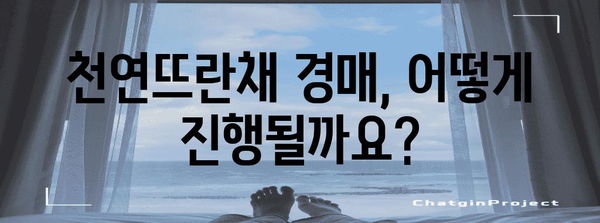 서대문구 천연뜨란채 아파트 경매 안내 | 정보, 현황, 입찰 팁