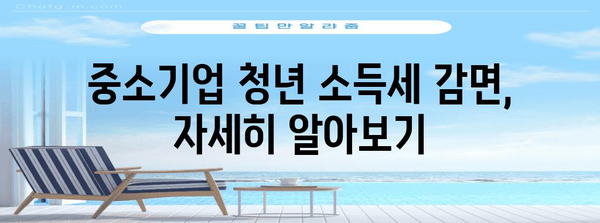 중소기업 청년 소득세 감면 | 신청 기간과 자격 확인