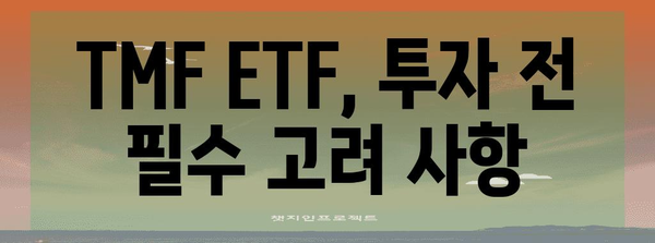 TMF ETF 상승 비밀 | 금리 하락과 투자 전략