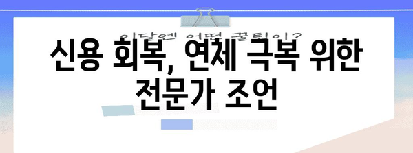 신용카드 연체 대응 전략 | 연체 회피와 신용 관리 권장사항