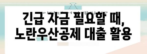 노란우산공제 완전 가이드 | 자영업자를 위한 신청, 대출, 지원 총정리