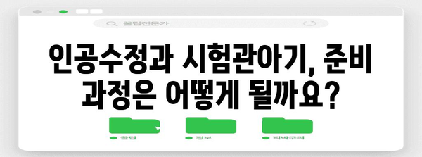 인공수정 vs 시험관아기 | 임신 옵션 비교 가이드