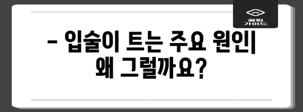 입술 부르틈 원인과 해결책 | 건강한 입술 되찾기