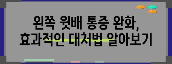 왼쪽 윗배 통증 관리 가이드 | 원인부터 효과적인 대처법까지