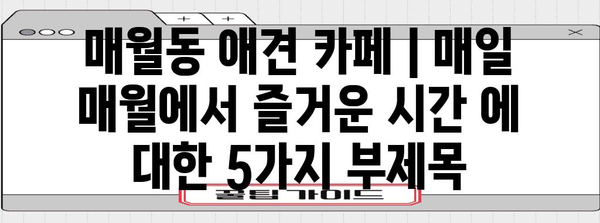 매월동 애견 카페 | 매일 매월에서 즐거운 시간