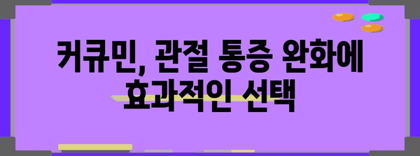 관절 통증 관리 가이드 | 커큐민 선택 및 효과적인 섭취 방법