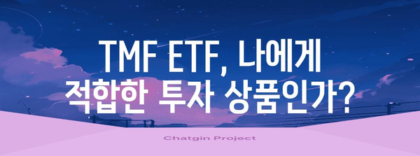 미국 국채 투자의 이해 총망라 | TMF ETF 수익률과 위험 고려 요소