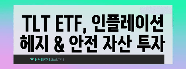 TLT ETF 투자 전략과 배당 정보 | 수익극대화를 위한 장기 투자 가이드