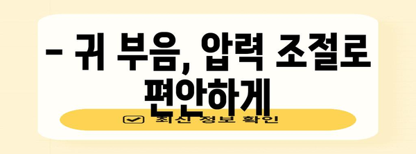 귀 부음 증상과 완화법 | 쉽게 해결하는 방법