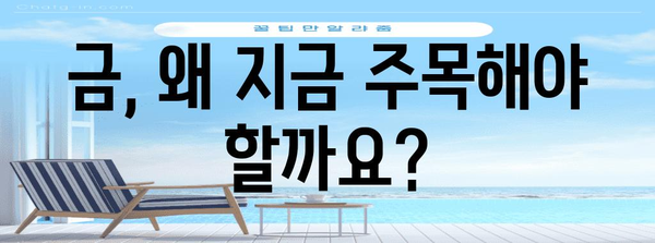 금값 전망 | 가치 보존과 투자 전략 안내