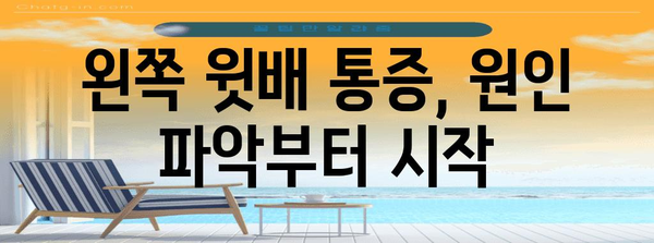 왼쪽 윗배 통증 관리 가이드 | 원인부터 효과적인 대처법까지