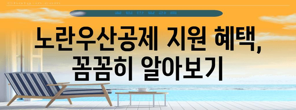 노란우산공제 완전 가이드 | 자영업자를 위한 신청, 대출, 지원 총정리