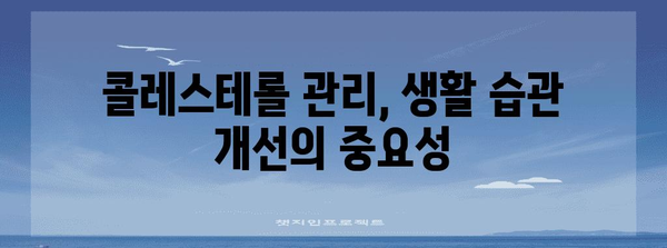 콜레스테롤 낮추기의 필수 원칙과 팁