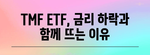 TMF ETF 상승 비밀 | 금리 하락과 투자 전략