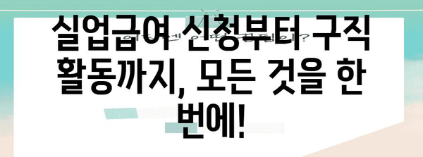 실업급여 수급자 구직 지원 완벽 가이드 | 구직촉진수당 및 기타 지원 비교 및 신청