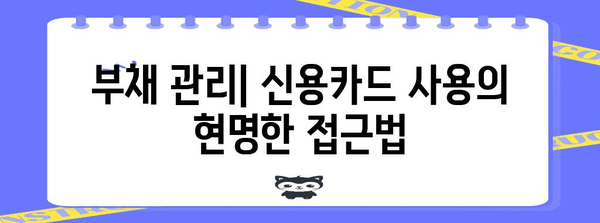 신용카드 한도 현금화의 위험 | 부채에 빠지지 않는 전략