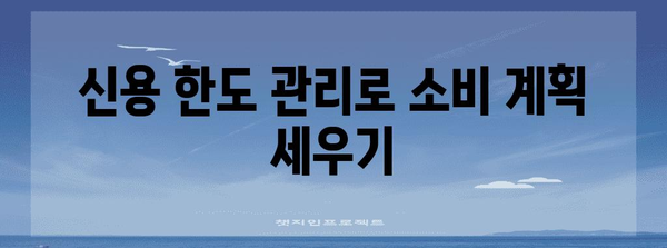 체크 카드 신용 한도 마스터 | 신청부터 사용법까지