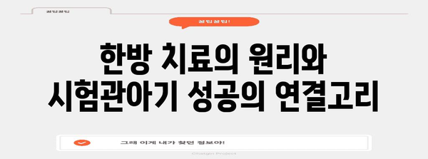 시험관아기 성공 확률 극대화하는 한방 치료법