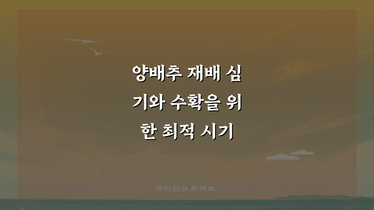 양배추 재배 심기와 수확을 위한 최적 시기